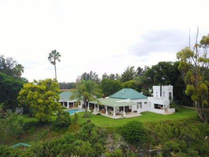 Avoca River Cabins Sunland Eastern Cape South Africa Island, Nature, Palm Tree, Plant, Wood