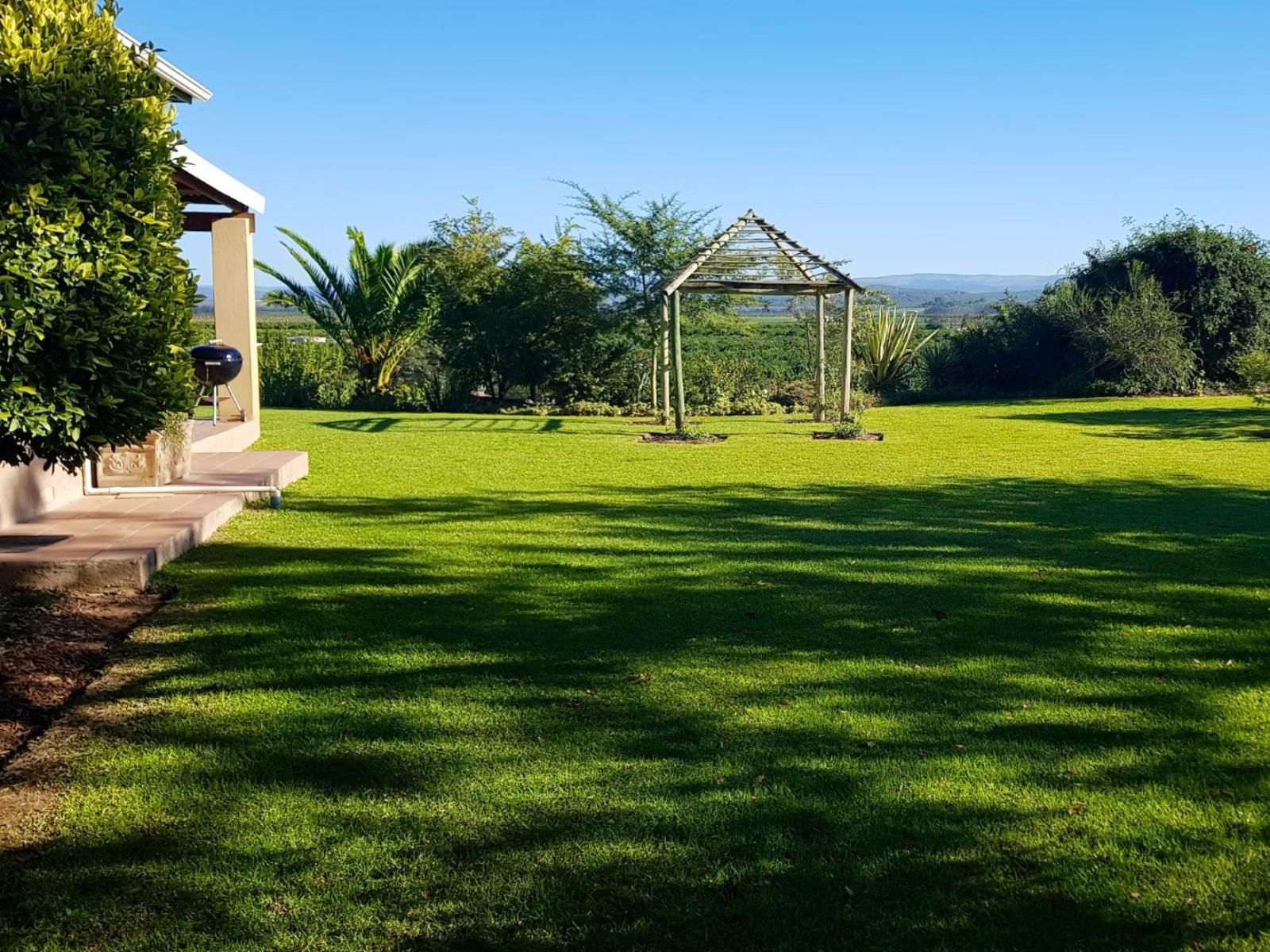 Avoca River Cabins Sunland Eastern Cape South Africa Complementary Colors, Palm Tree, Plant, Nature, Wood