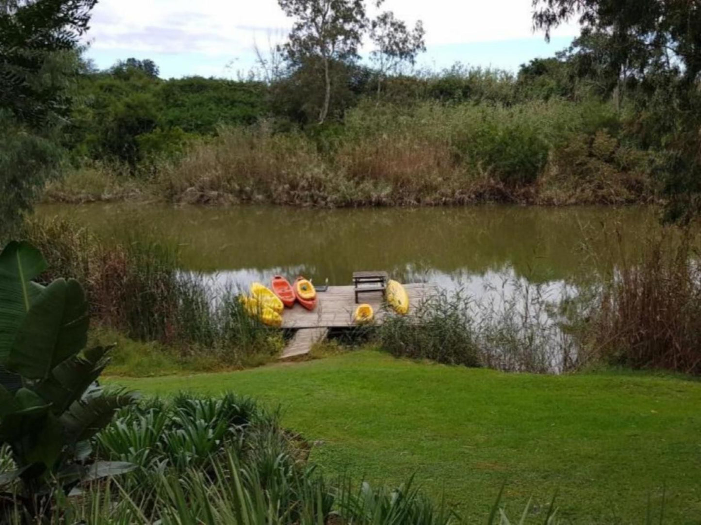 Avoca River Cabins Sunland Eastern Cape South Africa River, Nature, Waters, Garden, Plant