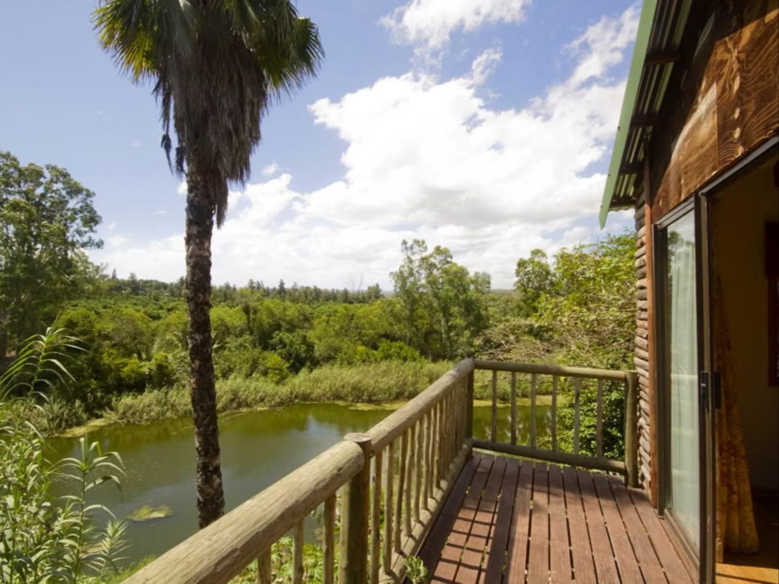 Avoca River Cabins Sunland Eastern Cape South Africa Palm Tree, Plant, Nature, Wood