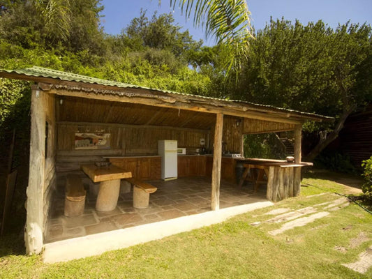 Avoca River Cabins Sunland Eastern Cape South Africa Colorful, Palm Tree, Plant, Nature, Wood