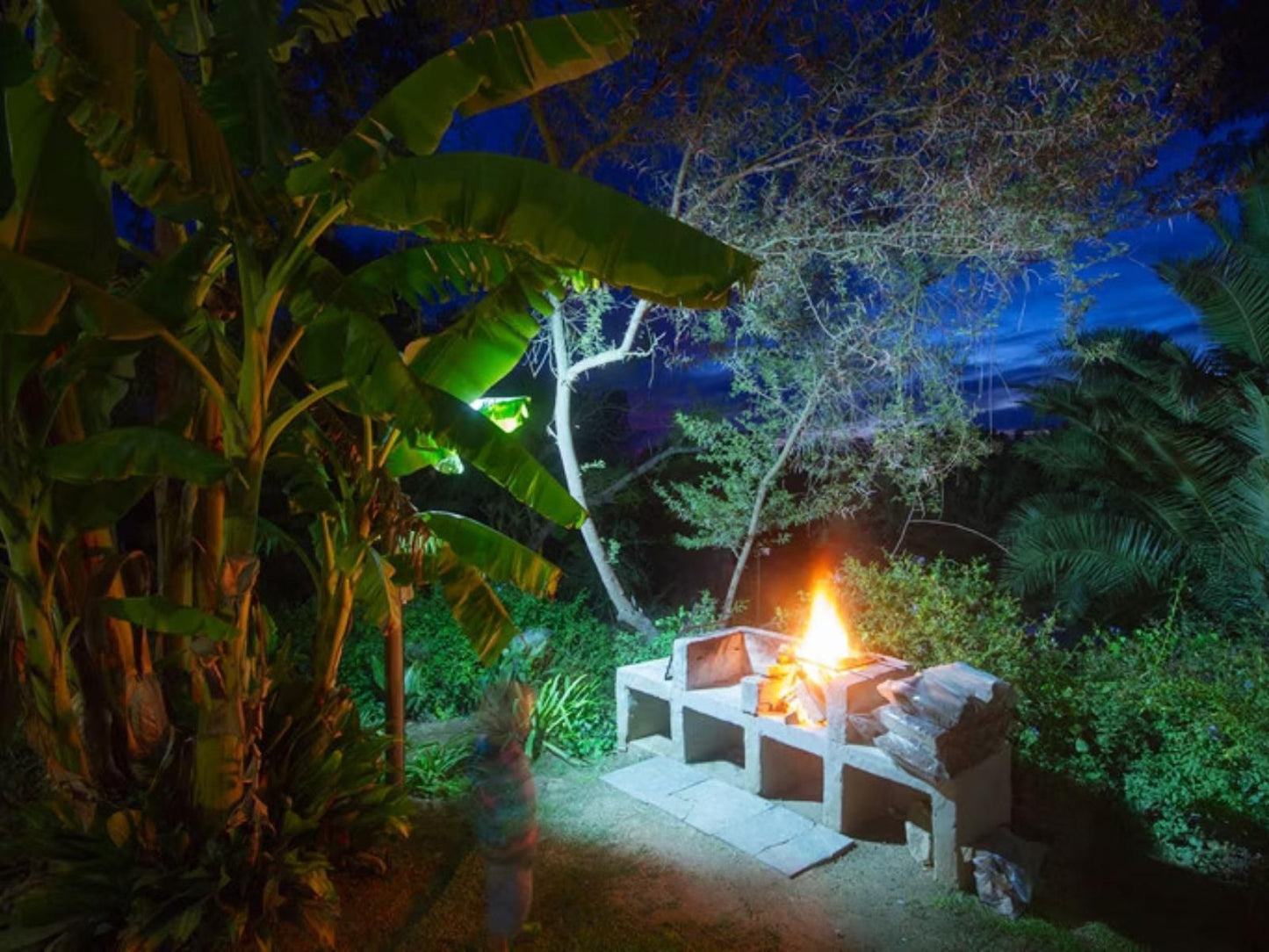 Avoca River Cabins Sunland Eastern Cape South Africa Fire, Nature, Palm Tree, Plant, Wood