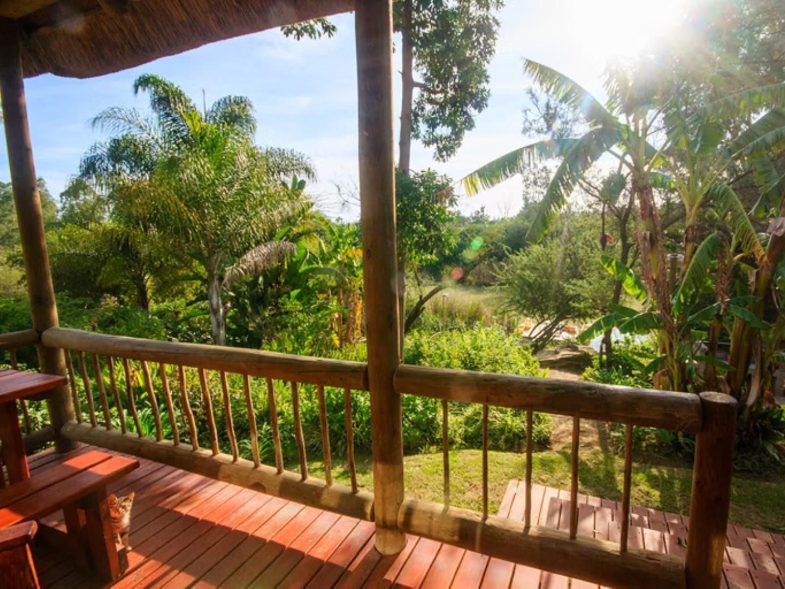 Avoca River Cabins Sunland Eastern Cape South Africa Palm Tree, Plant, Nature, Wood, Garden