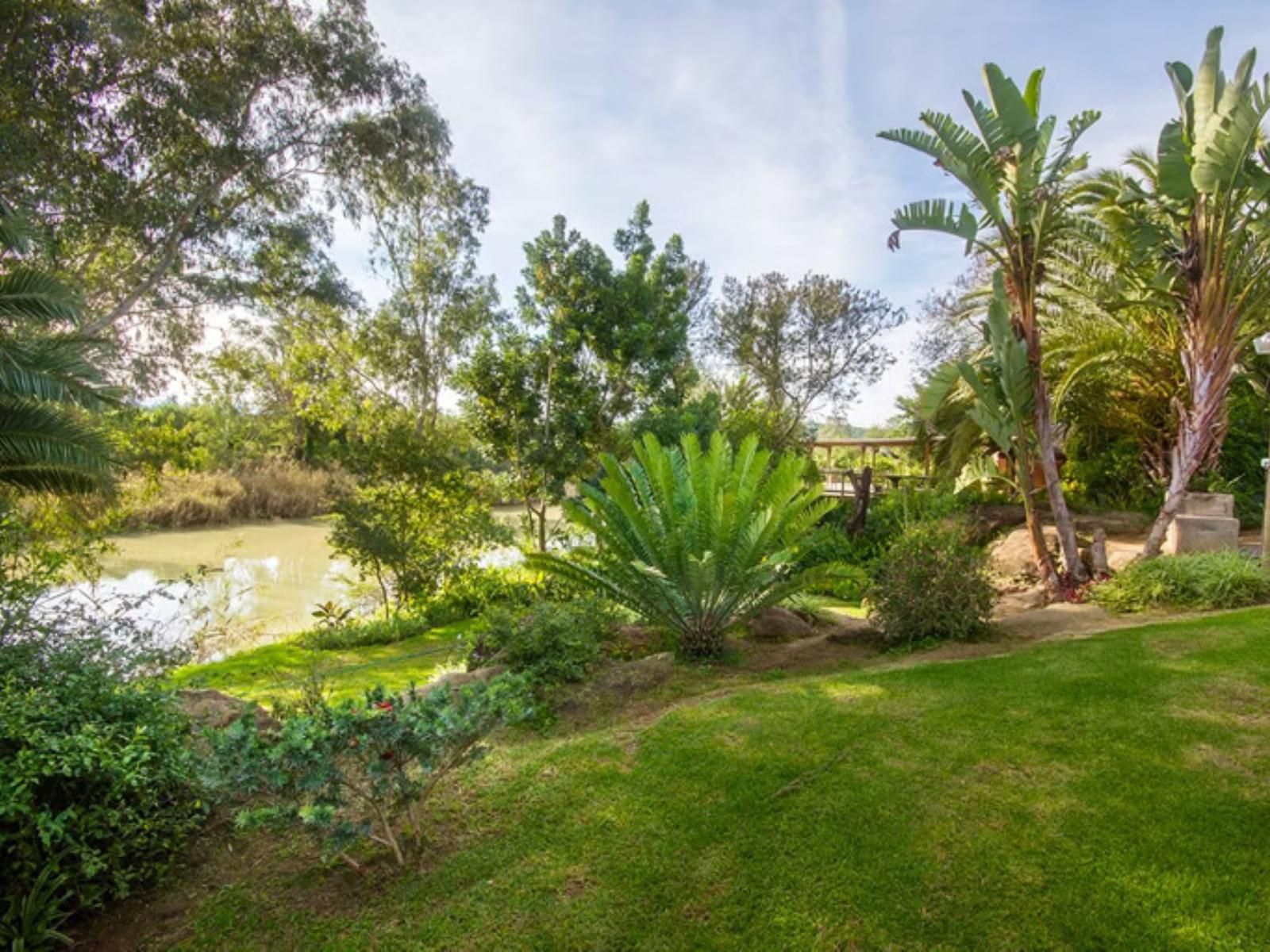 Avoca River Cabins Sunland Eastern Cape South Africa Palm Tree, Plant, Nature, Wood, River, Waters, Garden