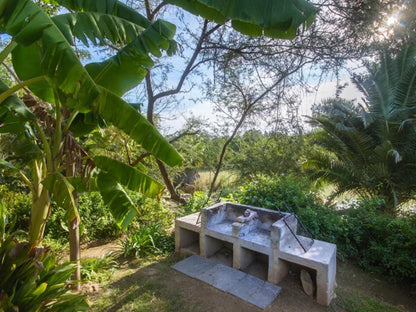 Avoca River Cabins Sunland Eastern Cape South Africa Boat, Vehicle, Palm Tree, Plant, Nature, Wood