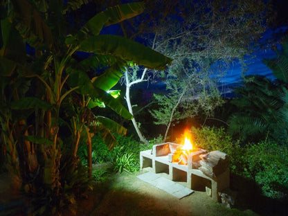 Avoca River Cabins Sunland Eastern Cape South Africa Fire, Nature, Palm Tree, Plant, Wood