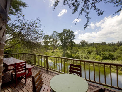 BUSH CAMP 1 @ Avoca River Cabins