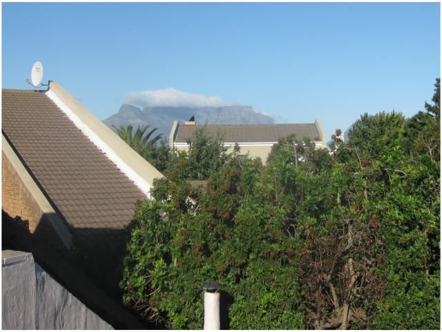 Avocet Cape Town Villa Bandb Bloubergstrand Blouberg Western Cape South Africa Complementary Colors, Palm Tree, Plant, Nature, Wood