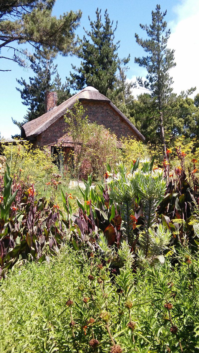 Avolonte Lodge Grabouw Western Cape South Africa Plant, Nature, Garden