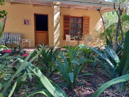 Avondrust Guest House Graaff Reinet Eastern Cape South Africa House, Building, Architecture, Palm Tree, Plant, Nature, Wood