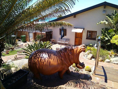 Avondrust Guest House Saldanha Western Cape South Africa Palm Tree, Plant, Nature, Wood