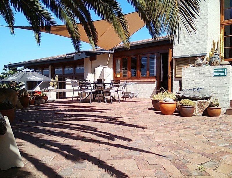 Avondrust Guest House Saldanha Western Cape South Africa Palm Tree, Plant, Nature, Wood