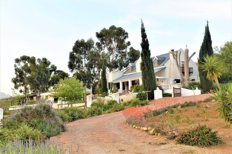 Avondson Country Retreat Bot River Western Cape South Africa House, Building, Architecture, Palm Tree, Plant, Nature, Wood