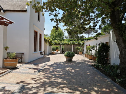 Avontuur Manor House Raithby Stellenbosch Western Cape South Africa House, Building, Architecture, Palm Tree, Plant, Nature, Wood