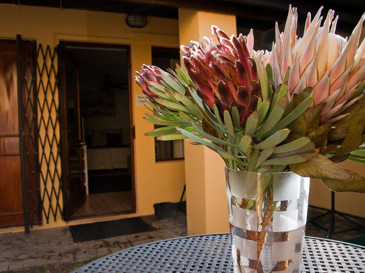 A Vue Guest House The Links Somerset West Western Cape South Africa Bouquet Of Flowers, Flower, Plant, Nature