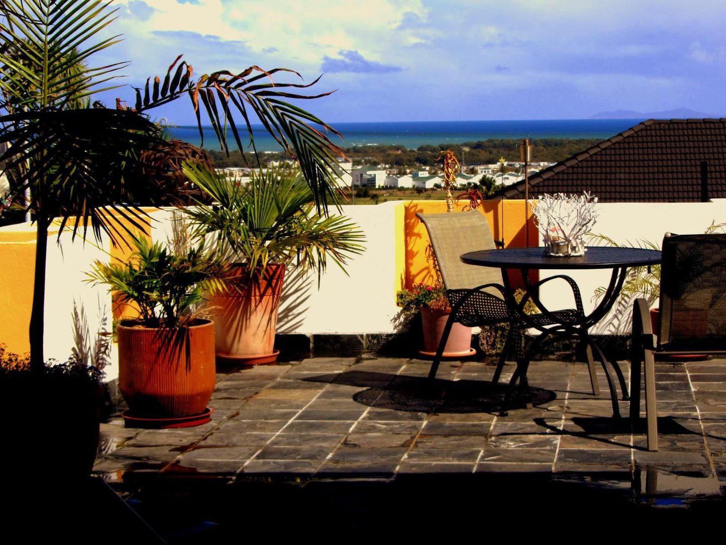 A Vue Guest House The Links Somerset West Western Cape South Africa Complementary Colors, Palm Tree, Plant, Nature, Wood