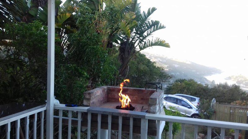 A Wave Song Wilderness Western Cape South Africa Fire, Nature, Palm Tree, Plant, Wood