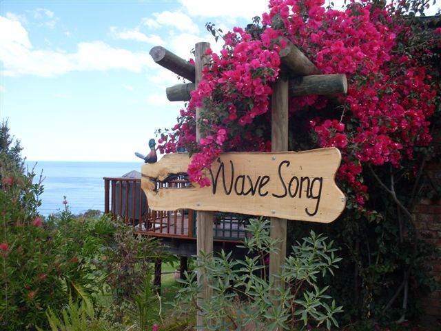 A Wave Song Wilderness Western Cape South Africa Beach, Nature, Sand, Rose, Flower, Plant, Ocean, Waters