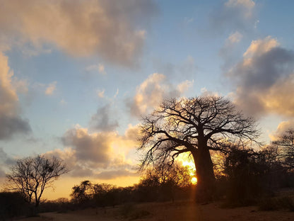 Awelani Lodge Mutale Limpopo Province South Africa Sky, Nature, Sunset