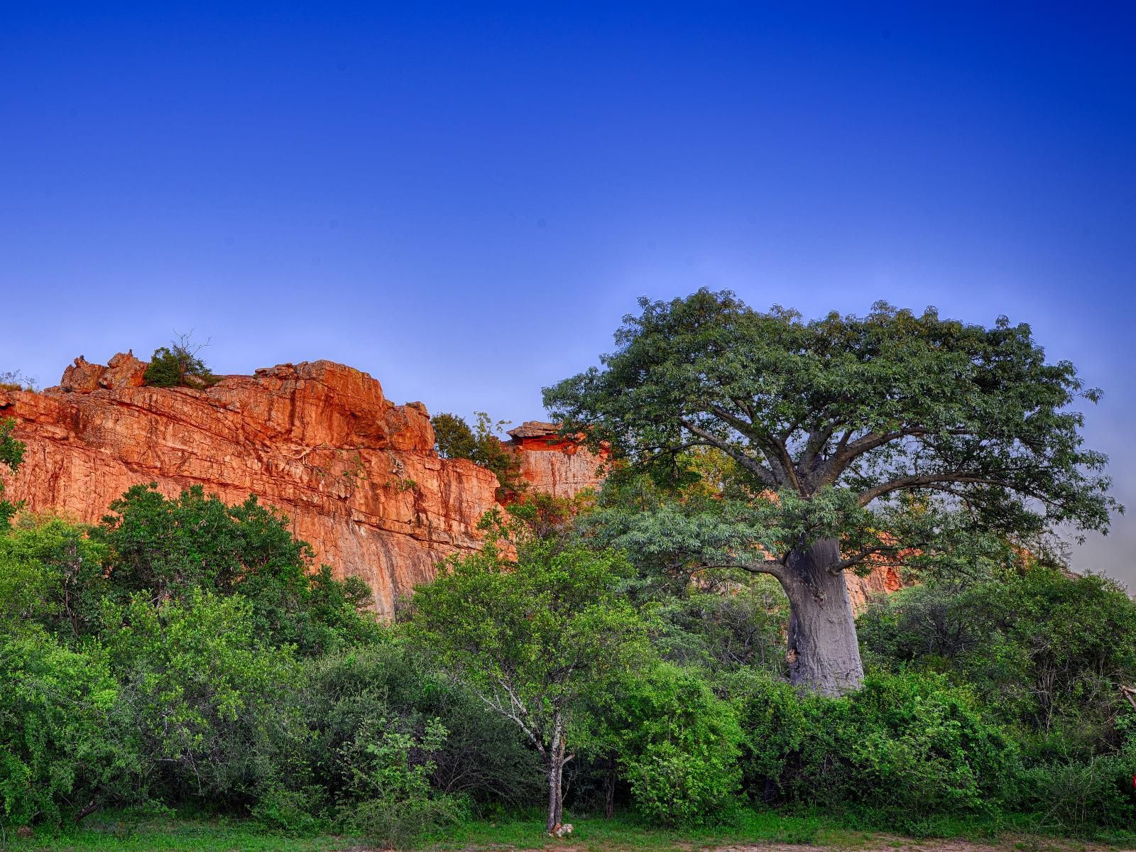 Awelani Lodge Mutale Limpopo Province South Africa Complementary Colors, Nature