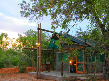 Safari Tent @ Awelani Lodge