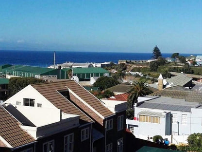 Awesome Ocean View Santos Bay Mossel Bay Western Cape South Africa Beach, Nature, Sand, Palm Tree, Plant, Wood