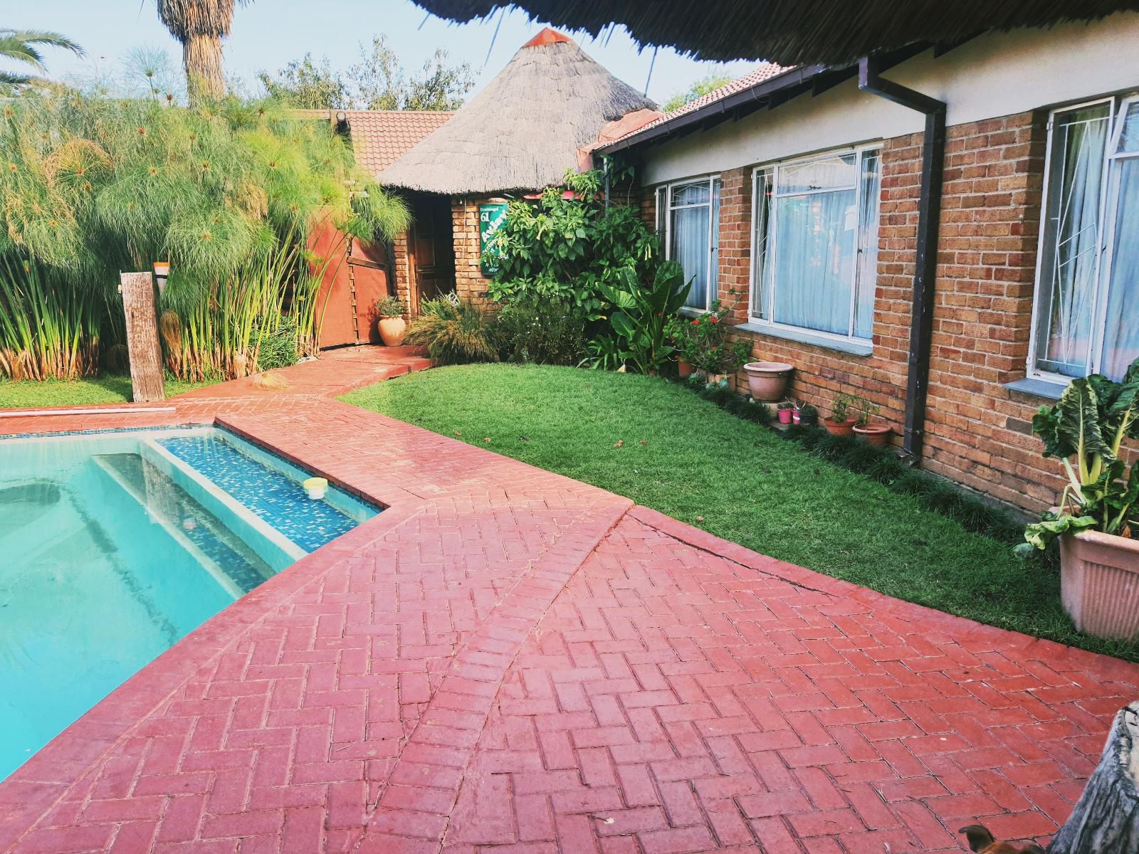 Ay Jay S Guesthouse Fleurdal Bloemfontein Free State South Africa Complementary Colors, House, Building, Architecture, Palm Tree, Plant, Nature, Wood, Garden, Swimming Pool