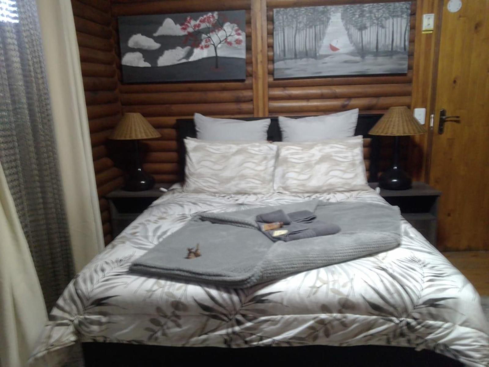 B My Guest At Riverwood Grace Barkly West Northern Cape South Africa Bedroom