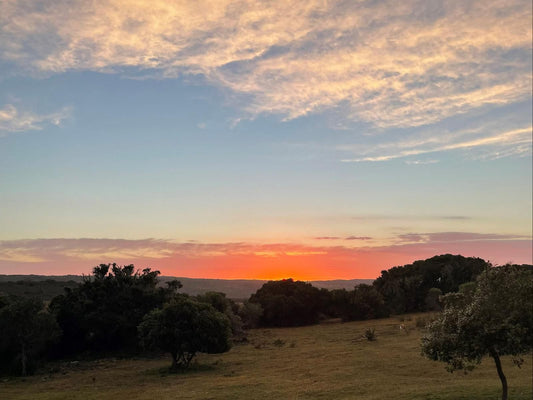 Baardbos Private Game Reserve Stilbaai Western Cape South Africa Sky, Nature, Sunset