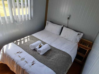 Baardbos Private Game Reserve Stilbaai Western Cape South Africa Selective Color, Bedroom