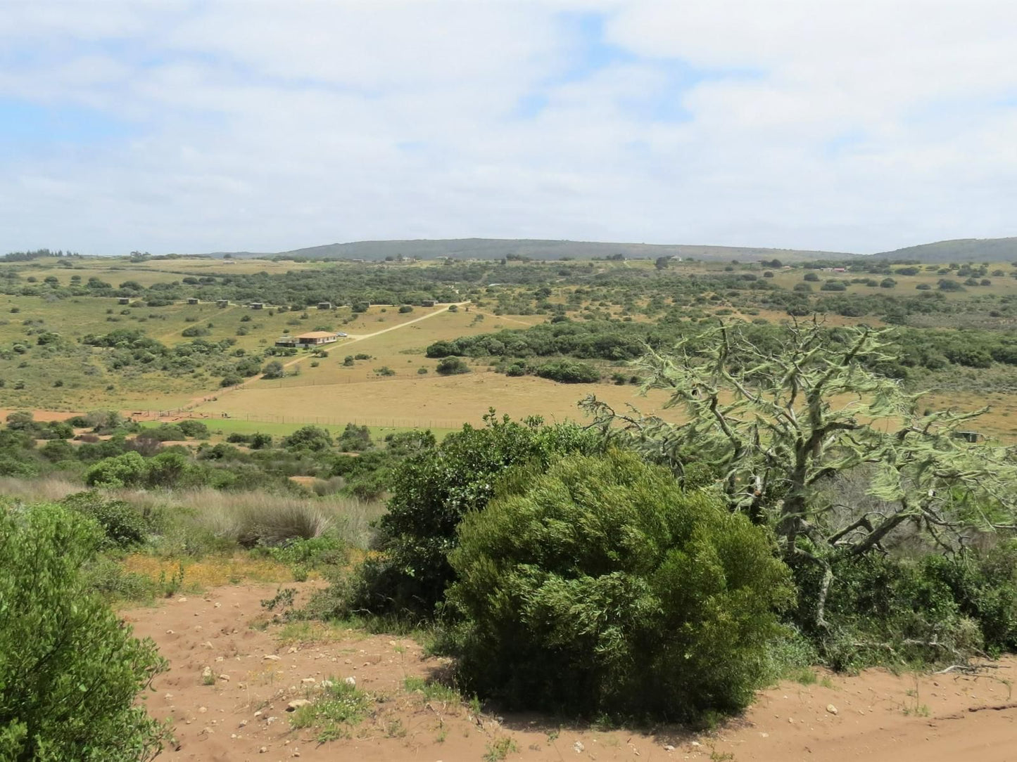 Baardbos Private Game Reserve Stilbaai Western Cape South Africa Complementary Colors, Lowland, Nature