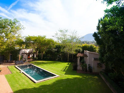 Babette Bed And Breakfast Swellendam Western Cape South Africa House, Building, Architecture, Mountain, Nature, Palm Tree, Plant, Wood, Garden, Living Room, Swimming Pool