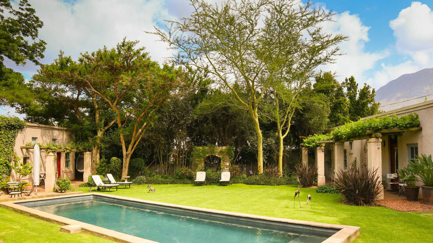 Babette Bed And Breakfast Swellendam Western Cape South Africa Palm Tree, Plant, Nature, Wood, Garden, Swimming Pool