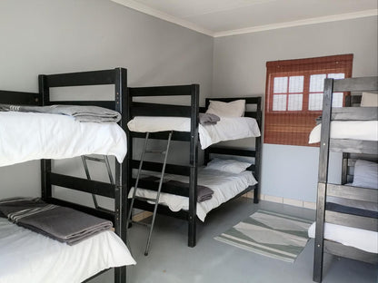 Backpackers Connection, 6-Bed Female Dormitory Room, Bedroom