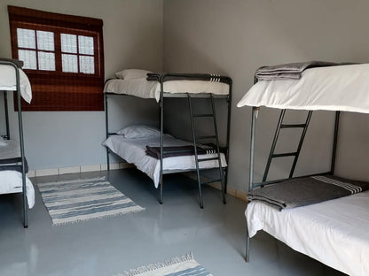 Backpackers Connection, 6-Bed Male Dormitory Room, Selective Color, Bedroom