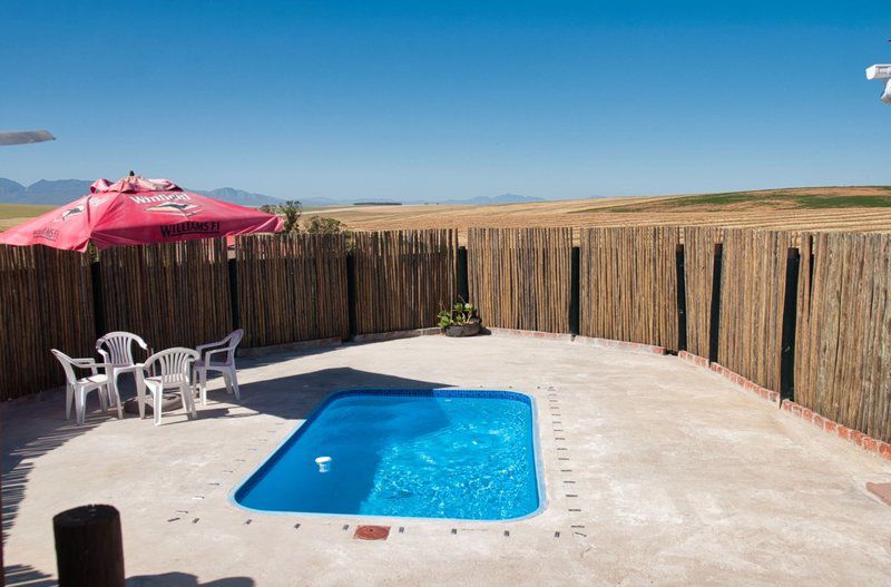 Badenhuis Rustic Farmhouse Napier Western Cape South Africa Swimming Pool