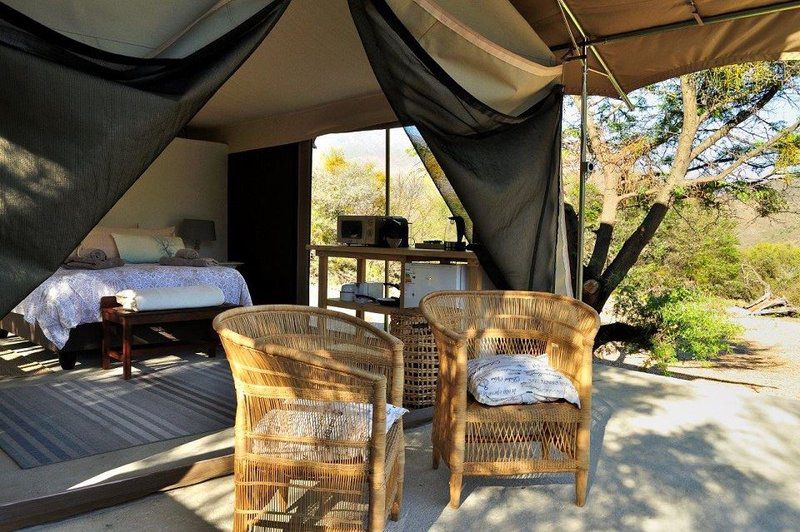 Badensfontein Cottages And Camping Montagu Western Cape South Africa Tent, Architecture, Bedroom
