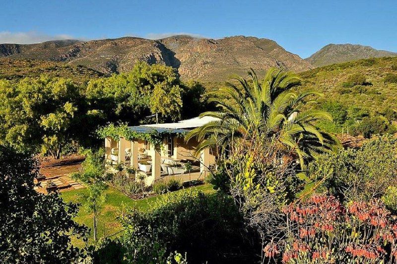 Badensfontein Cottages And Camping Montagu Western Cape South Africa Palm Tree, Plant, Nature, Wood