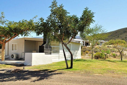 Badensfontein Cottages And Camping Montagu Western Cape South Africa Complementary Colors, House, Building, Architecture, Tree, Plant, Nature, Wood