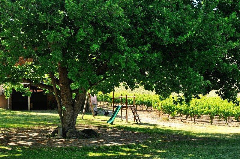 Badensfontein Cottages And Camping Montagu Western Cape South Africa Tree, Plant, Nature, Wood