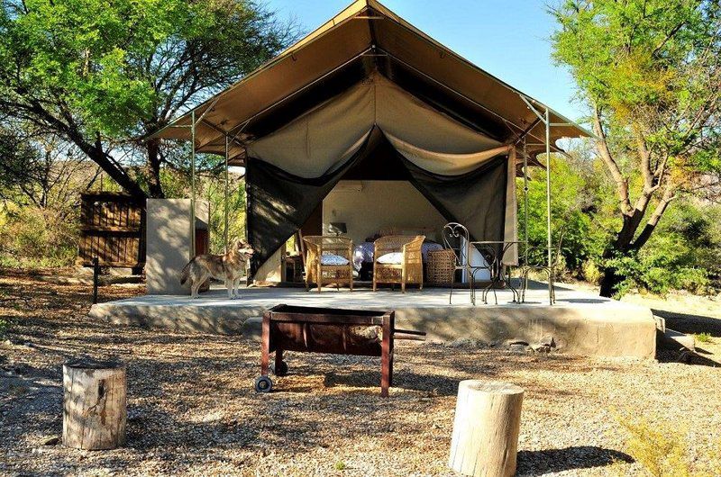 Badensfontein Cottages And Camping Montagu Western Cape South Africa Tent, Architecture