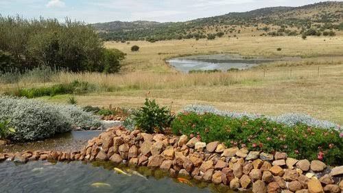 Badgerleur Bush Lodge Greylingstad Mpumalanga South Africa River, Nature, Waters