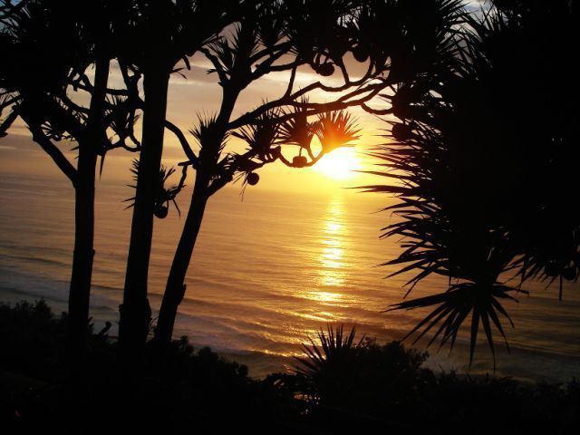 Bailey S Beach Cottage Brighton Beach Durban Kwazulu Natal South Africa Beach, Nature, Sand, Palm Tree, Plant, Wood, Silhouette, Sky, Sunset