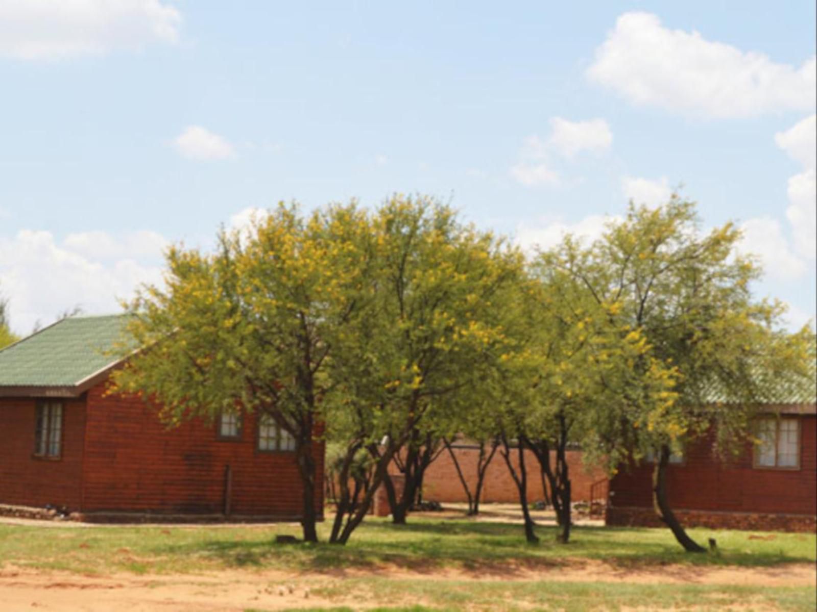 Bains Lodge Langenhoven Park Bloemfontein Free State South Africa Complementary Colors, Tree, Plant, Nature, Wood