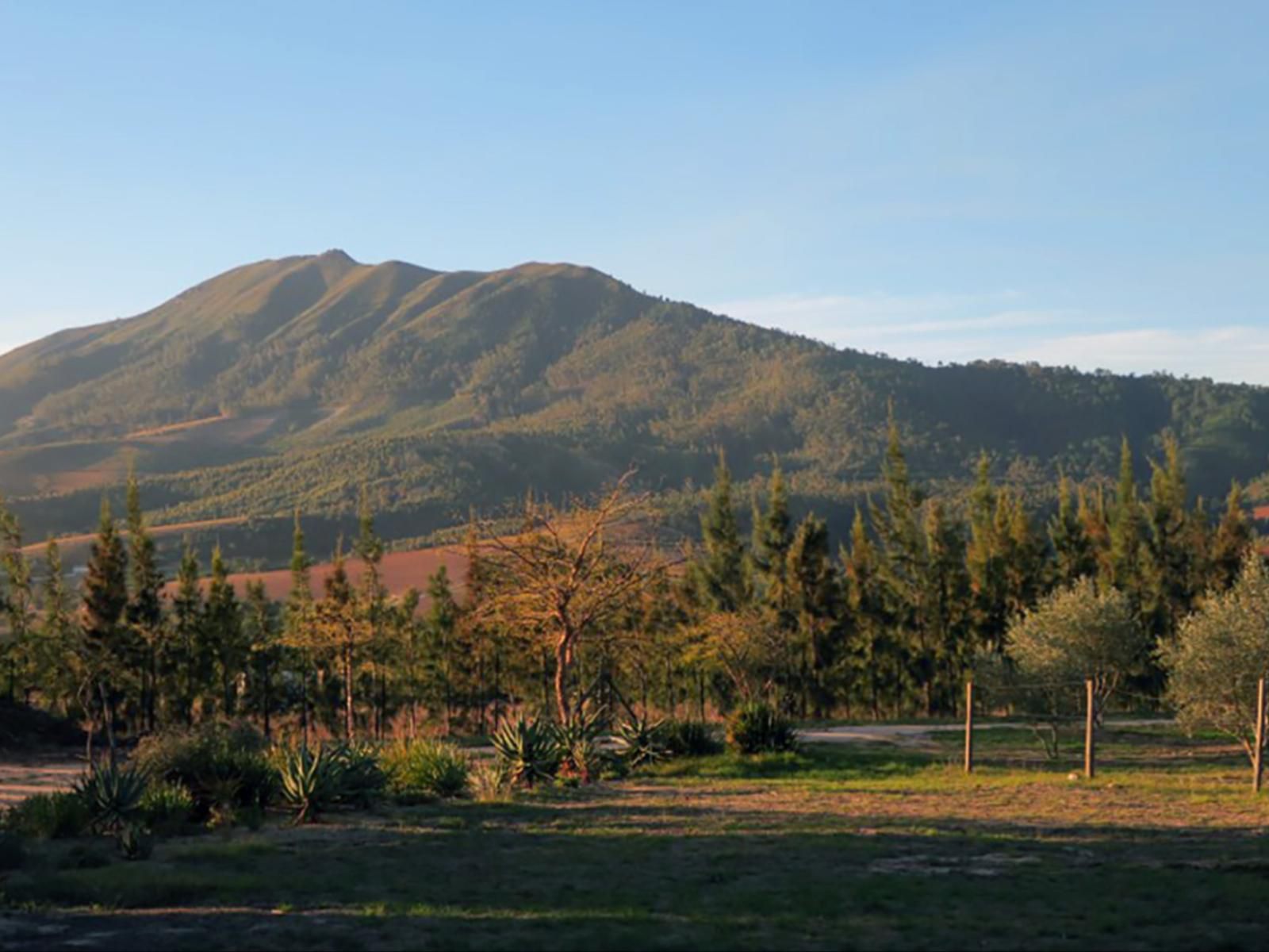 Bains View Olive And Guest Farm, Mountain, Nature, Tree, Plant, Wood