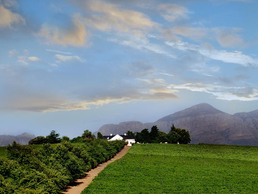 Bakenhof Winelands Lodge Wellington Western Cape South Africa Complementary Colors, Mountain, Nature