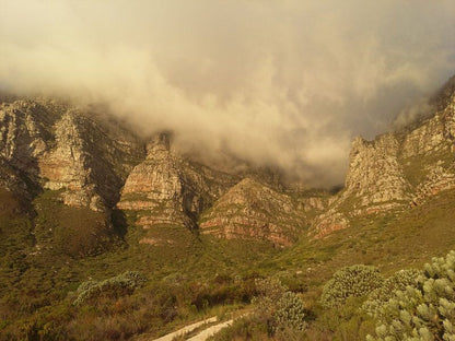 Bakoven Suites Bakoven Cape Town Western Cape South Africa Sepia Tones, Nature
