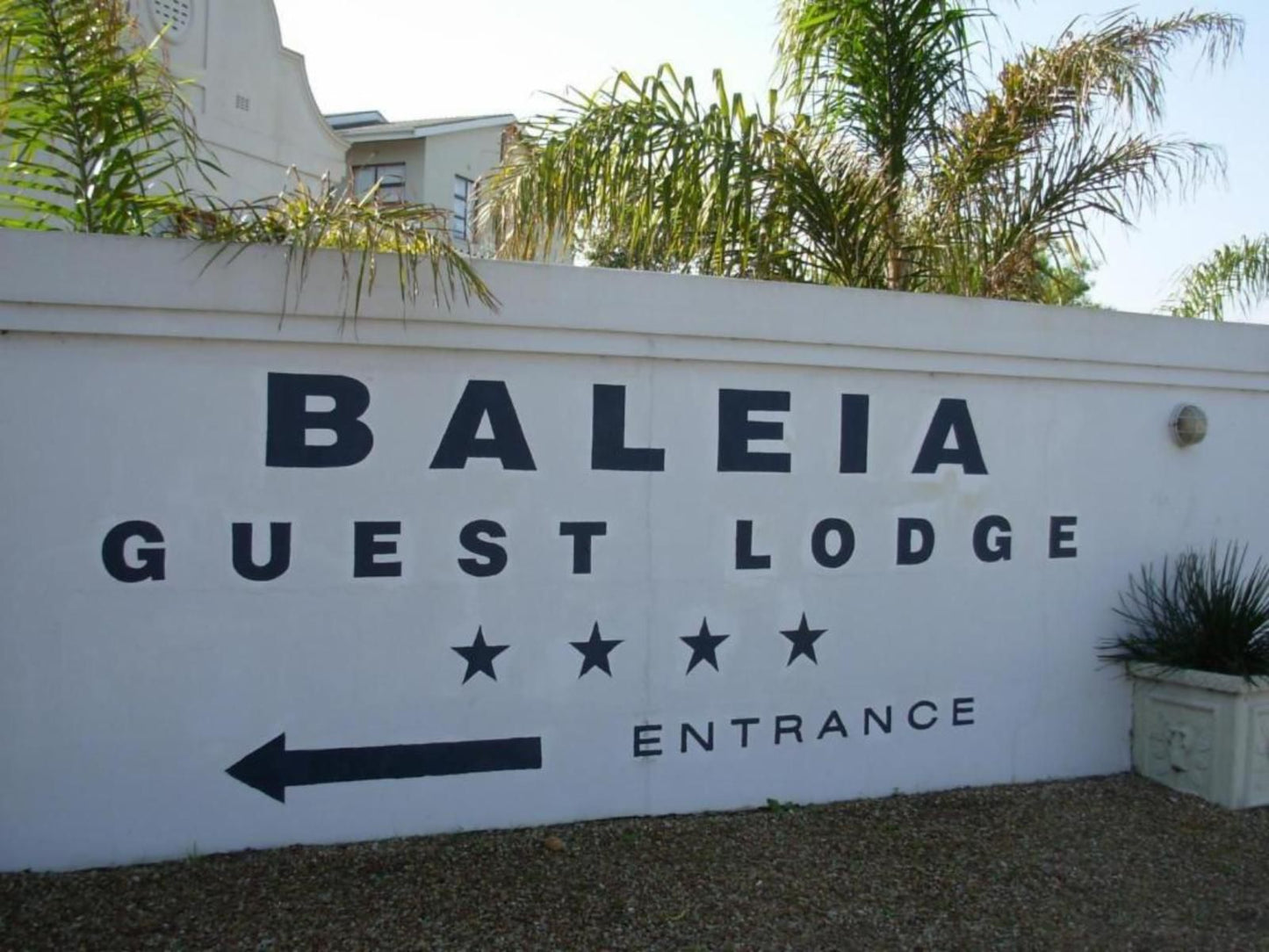 Baleia Guest Lodge Hermanus Western Cape South Africa Palm Tree, Plant, Nature, Wood, Sign