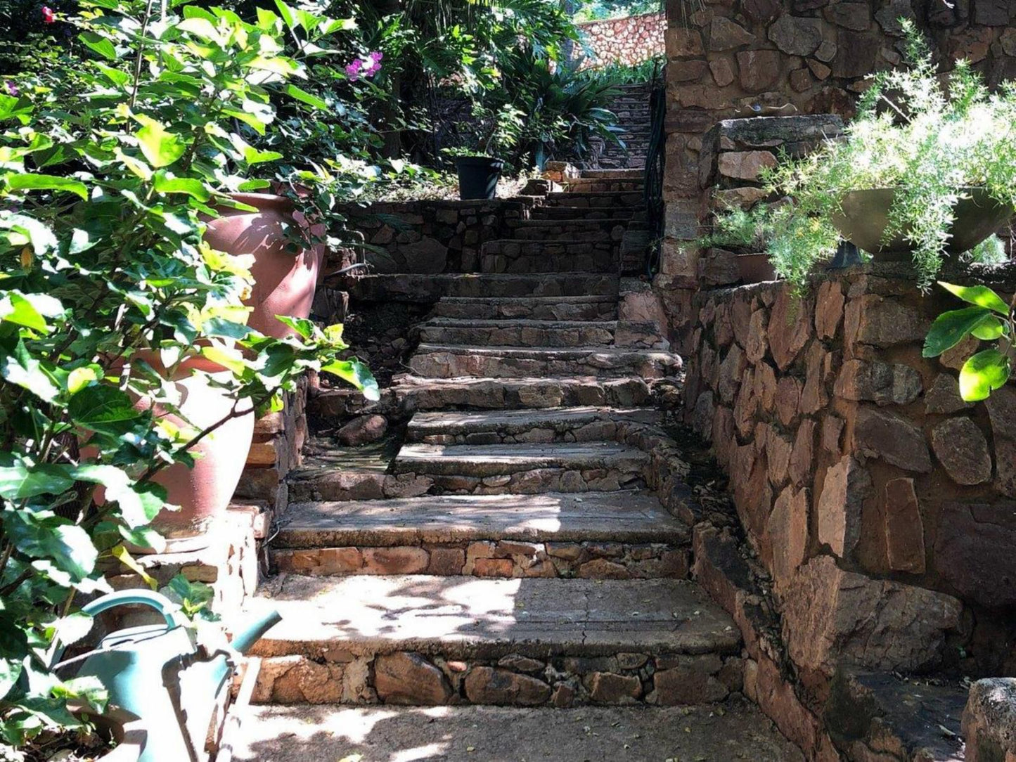 Bali At Scenic Haven Lodge, Stairs, Architecture, Garden, Nature, Plant