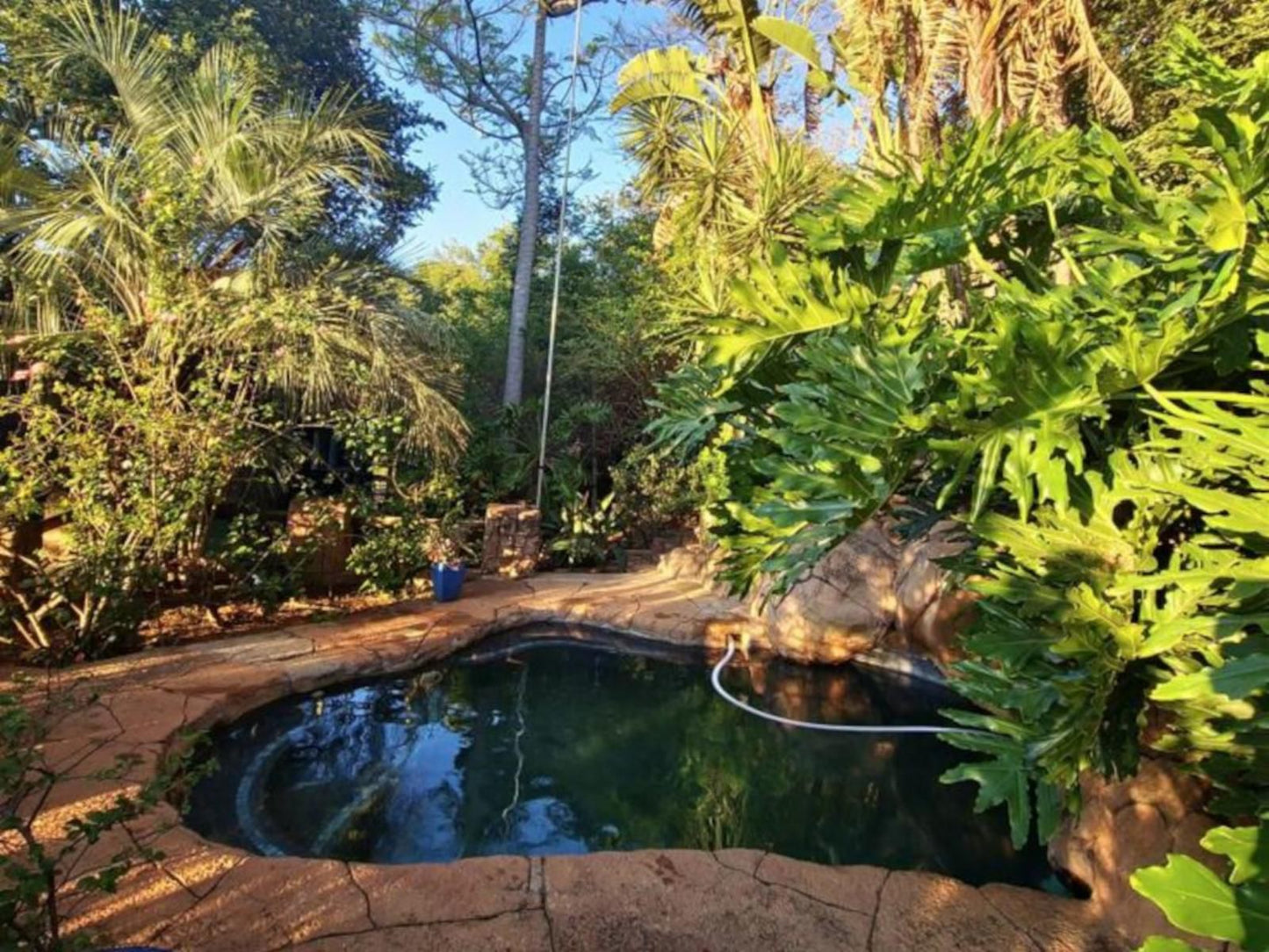 Bali At Scenic Haven Lodge, Palm Tree, Plant, Nature, Wood, Garden, Swimming Pool